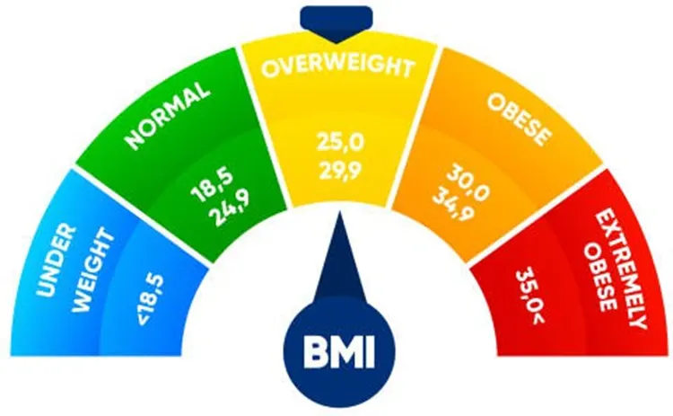 BMI scale ranges chart