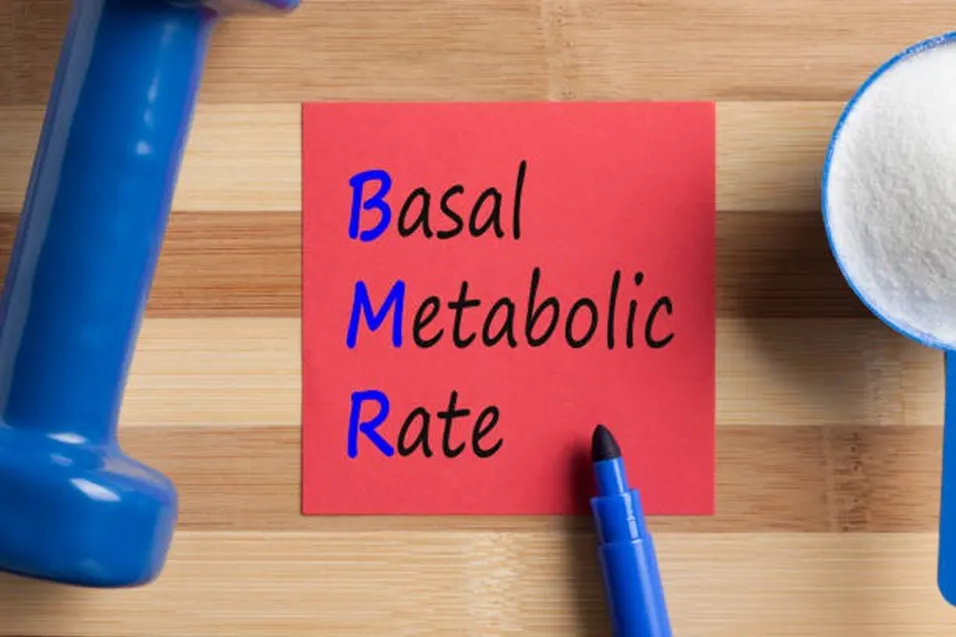 Basal Metabolic Rate note with dumbbell