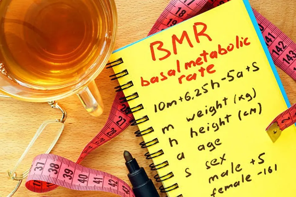 BMR formula written in notebook