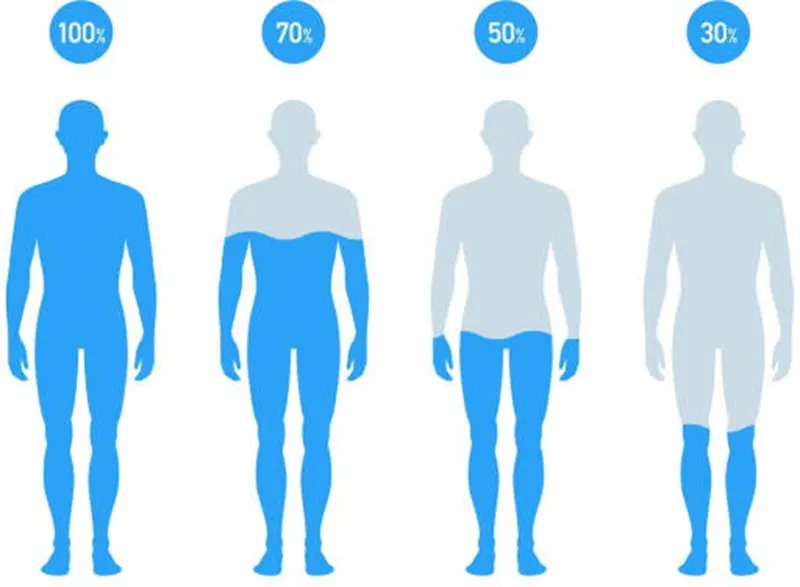 Body water percentage illustration