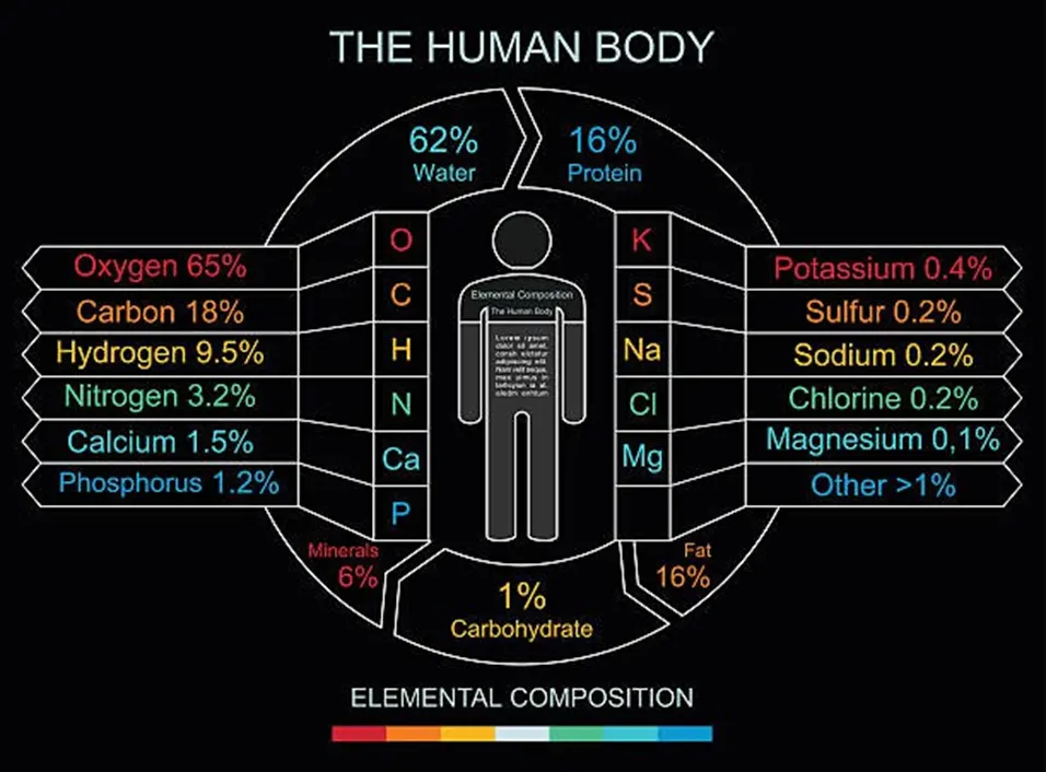 Human body elemental composition chart