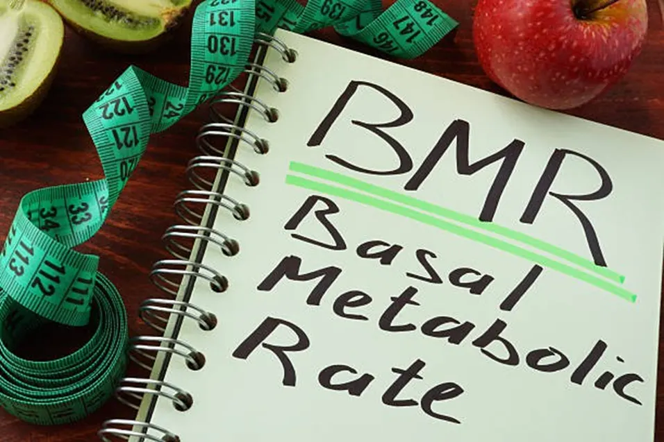 BMR Basal Metabolic Rate notebook with fruits