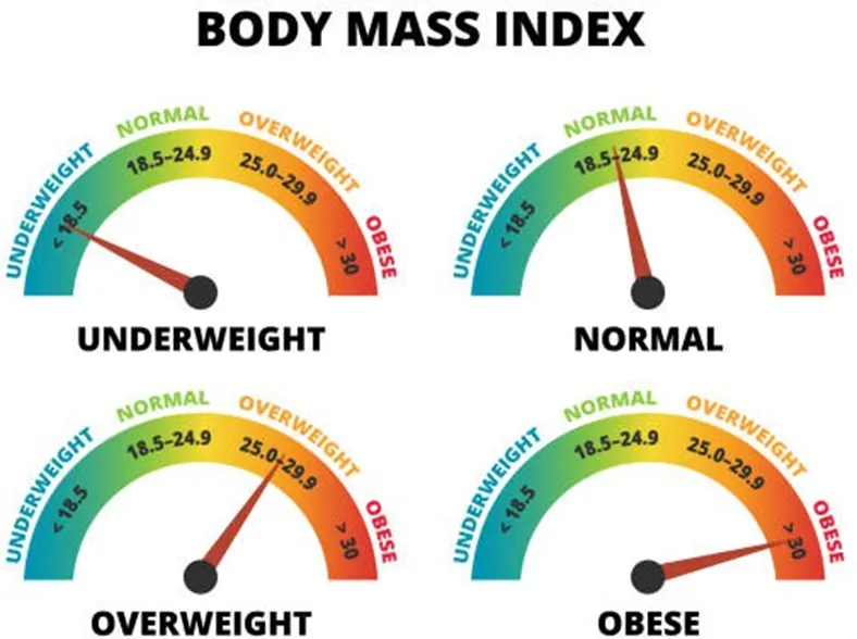 Body Mass Index chart categories
