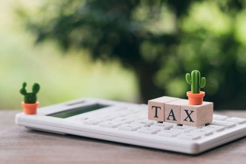 White calculator with wooden TAX letter blocks and miniature cactus plants on a green background
